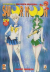 Sailor Moon, 029