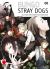 Bungo Stray Dogs, 006/R